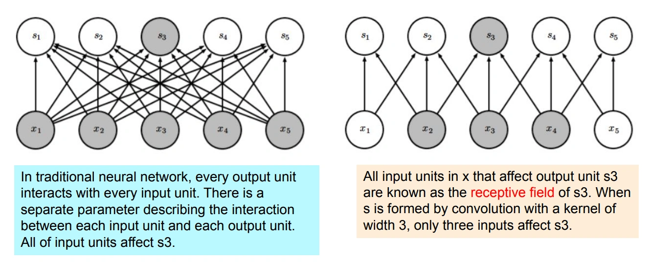 Local connectivity: s3 hanya dipengaruhi 3 input (receptive field), bukan semua input