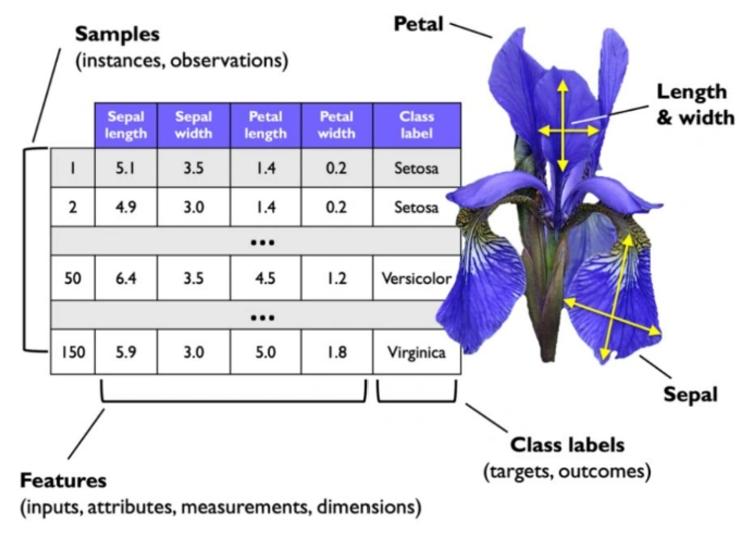 Iris Dataset