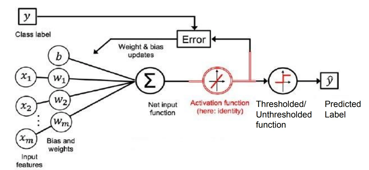 Delta Rule: thresholded output untuk prediksi, unthresholded untuk weight update